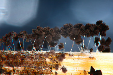 Similar image 10496477