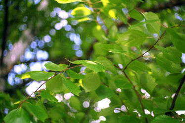 Similar image 10496484