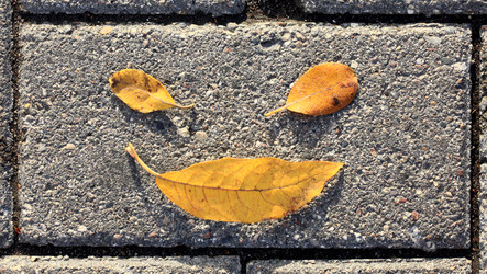 Similar image 10496493