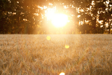 Similar image 10496492