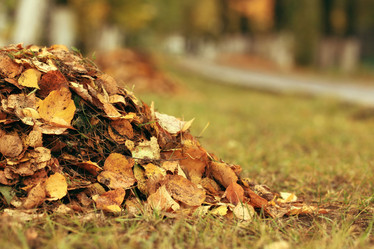 Similar image 10496495