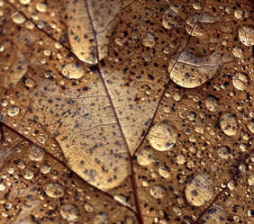 Similar image 10496497