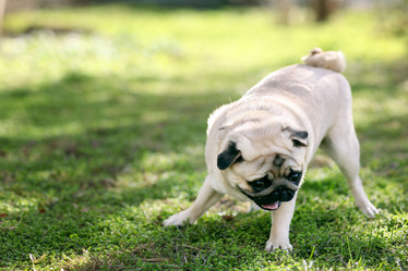 Similar image 10496500