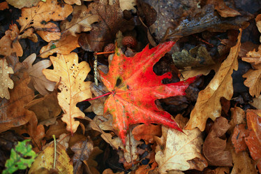 Similar image 10496503