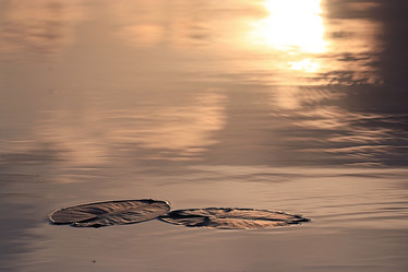 Similar image 10496528