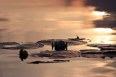 Similar image 10496530