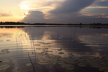 Similar image 10496532