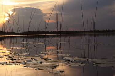 Similar image 10496534