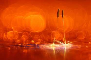 Similar image 10496535