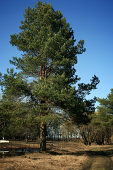 Similar image 10496551