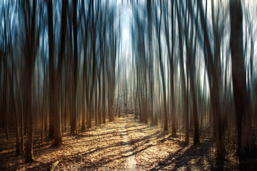 Similar image 10496553