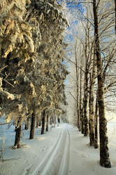 Similar image 10496554