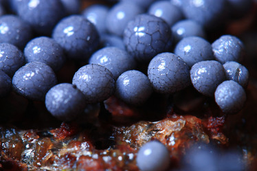 Similar image 10496562