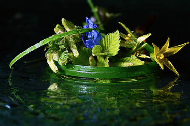 Similar image 10496567