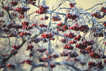 Similar image 10496571