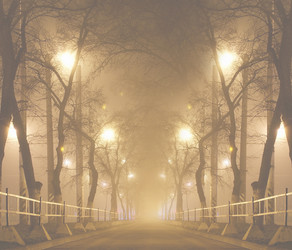 Similar image 10496572