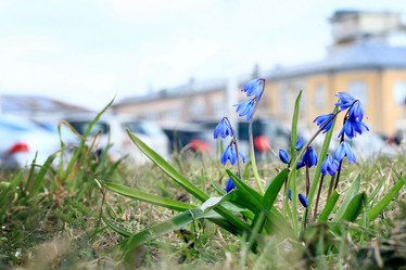 Similar image 10496587