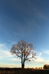 Similar image 10496588