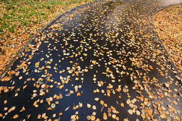 Similar image 10496591