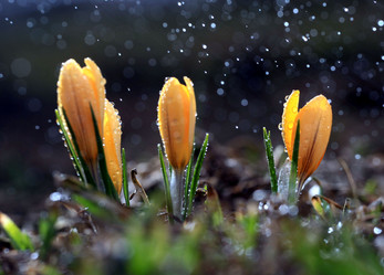 Similar image 10496595