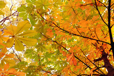 Similar image 10496596