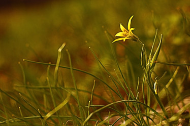 Similar image 10496607