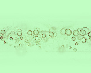 Similar image 10496608