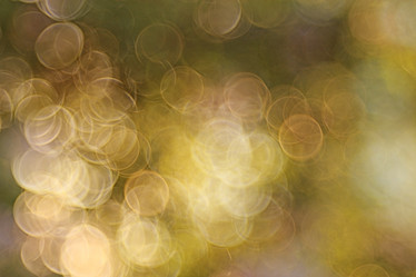 Similar image 10496612