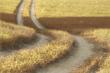 Similar image 10496615