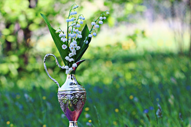 Similar image 10496616