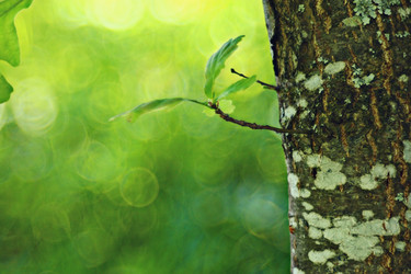 Similar image 10496622