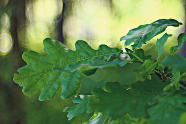 Similar image 10496624