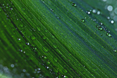 Similar image 10496626