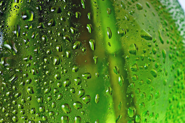 Similar image 10496628