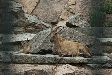 Similar image 10496632