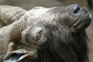 Similar image 10496636