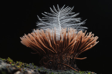 Similar image 10496637