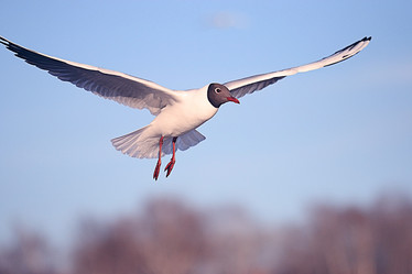 Similar image 10496638