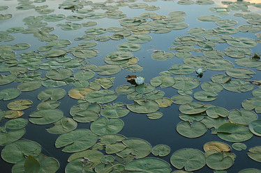 Similar image 10496642