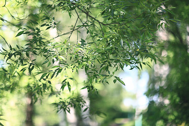 Similar image 10496650