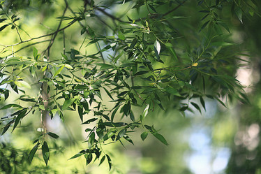 Similar image 10496652