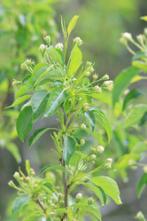 Similar image 10496655