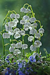 Similar image 10496657