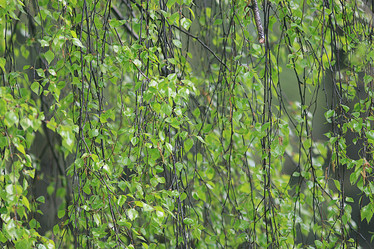 Similar image 10496659