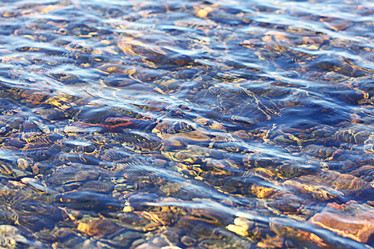 Similar image 10496662