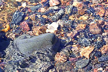 Similar image 10496664