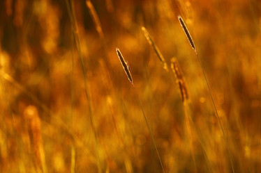 Similar image 10496669