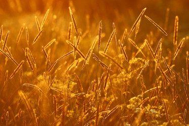 Similar image 10496674