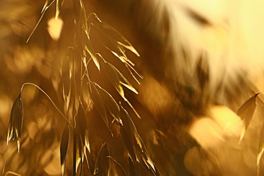 Similar image 10496676