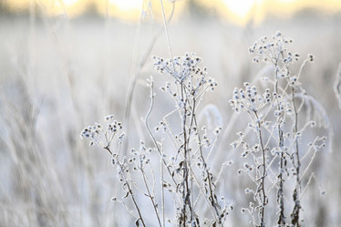 Similar image 10496677